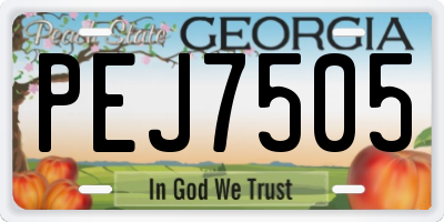 GA license plate PEJ7505