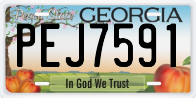 GA license plate PEJ7591