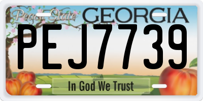 GA license plate PEJ7739