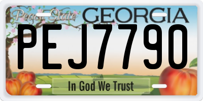 GA license plate PEJ7790
