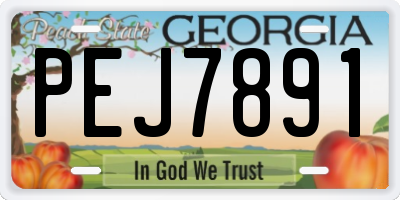 GA license plate PEJ7891