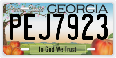 GA license plate PEJ7923
