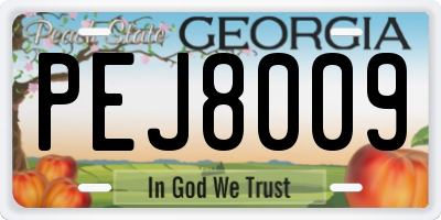 GA license plate PEJ8009