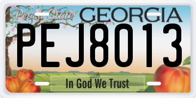 GA license plate PEJ8013