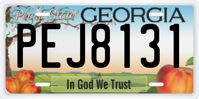 GA license plate PEJ8131