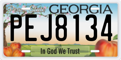 GA license plate PEJ8134