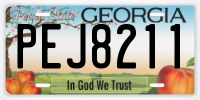 GA license plate PEJ8211