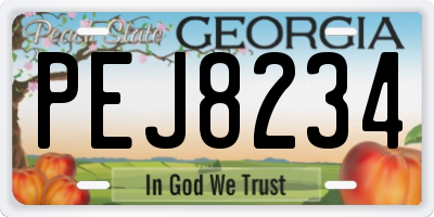 GA license plate PEJ8234