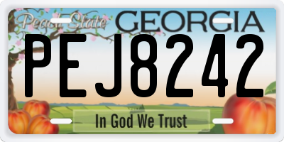 GA license plate PEJ8242