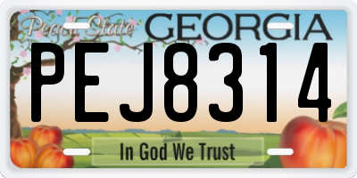 GA license plate PEJ8314