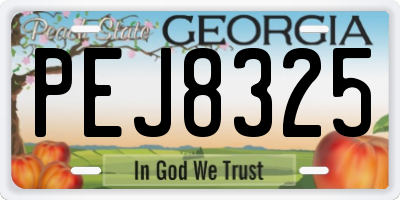 GA license plate PEJ8325