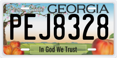 GA license plate PEJ8328