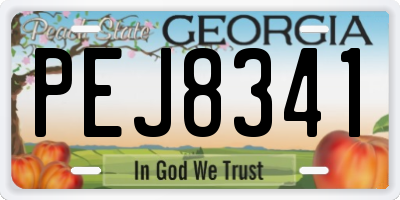 GA license plate PEJ8341