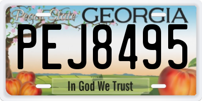 GA license plate PEJ8495