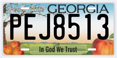 GA license plate PEJ8513