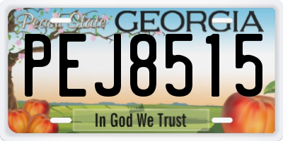 GA license plate PEJ8515