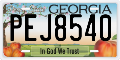 GA license plate PEJ8540