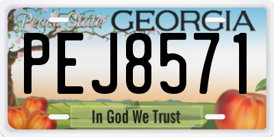 GA license plate PEJ8571