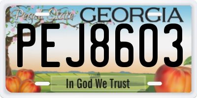 GA license plate PEJ8603