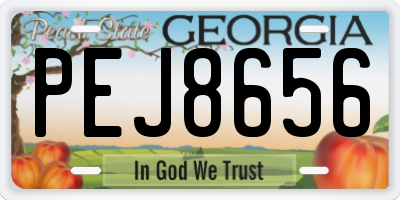 GA license plate PEJ8656