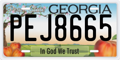 GA license plate PEJ8665