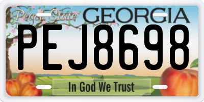 GA license plate PEJ8698