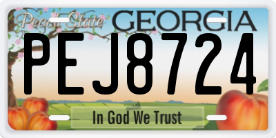 GA license plate PEJ8724