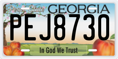 GA license plate PEJ8730