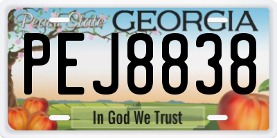 GA license plate PEJ8838