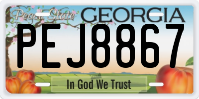 GA license plate PEJ8867