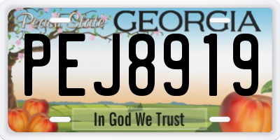 GA license plate PEJ8919