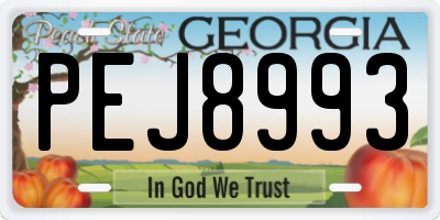 GA license plate PEJ8993