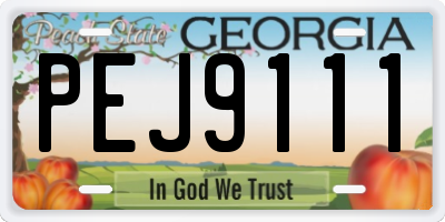 GA license plate PEJ9111