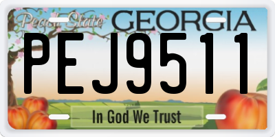 GA license plate PEJ9511