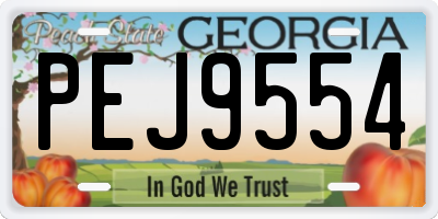 GA license plate PEJ9554