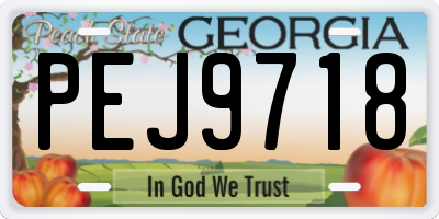 GA license plate PEJ9718