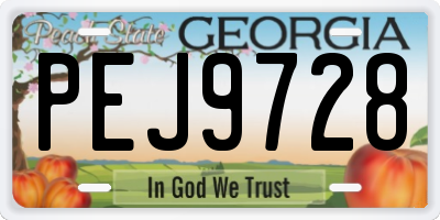 GA license plate PEJ9728