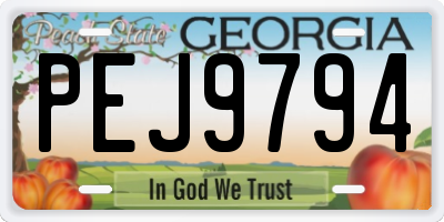 GA license plate PEJ9794