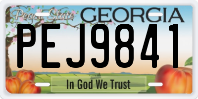 GA license plate PEJ9841