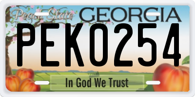 GA license plate PEK0254
