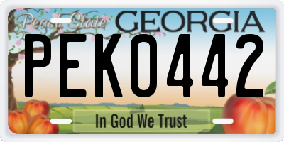 GA license plate PEK0442