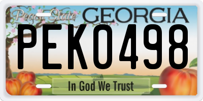 GA license plate PEK0498