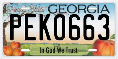 GA license plate PEK0663