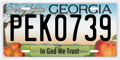 GA license plate PEK0739
