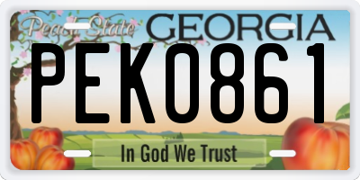 GA license plate PEK0861