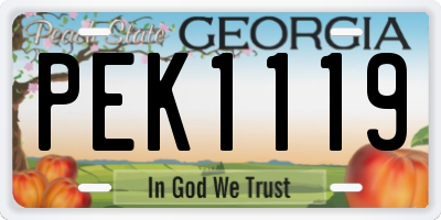 GA license plate PEK1119