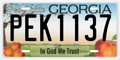 GA license plate PEK1137