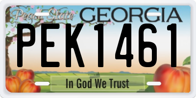 GA license plate PEK1461