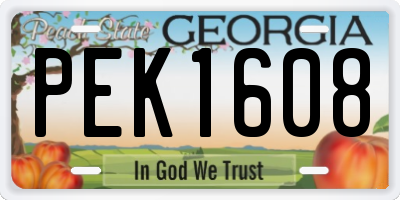 GA license plate PEK1608