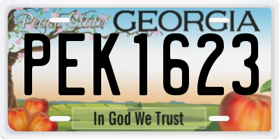 GA license plate PEK1623